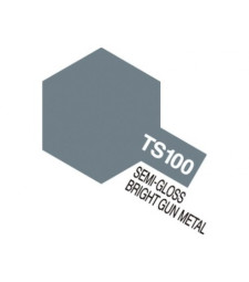 TS-100 SG Bright Gun Metal, satin/semi-gloss - Spray Paint (100 ml)
